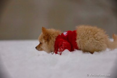 Dec2_07_708.jpg
