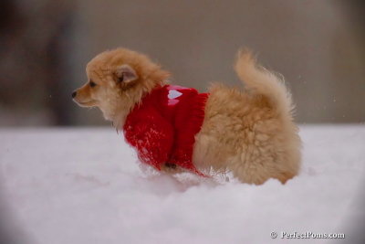 Dec2_07_709.jpg