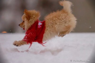 Dec2_07_710.jpg