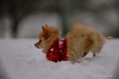 Dec2_07_712.jpg