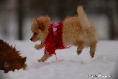 Dec2_07_714.jpg