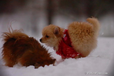Dec2_07_715.jpg