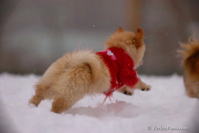 Dec2_07_719.jpg