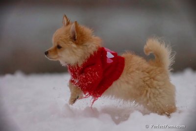 Dec2_07_720.jpg