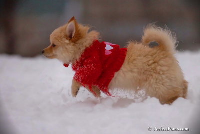 Dec2_07_721.jpg