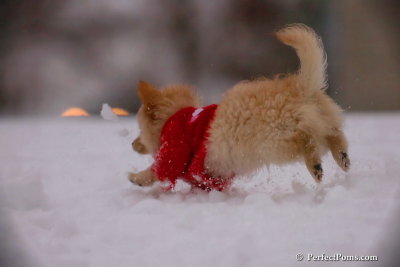 Dec2_07_724.jpg