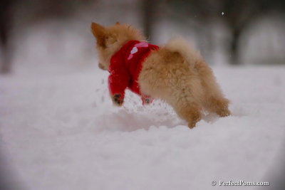 Dec2_07_725.jpg