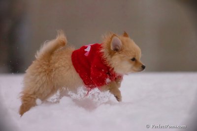 Dec2_07_726.jpg