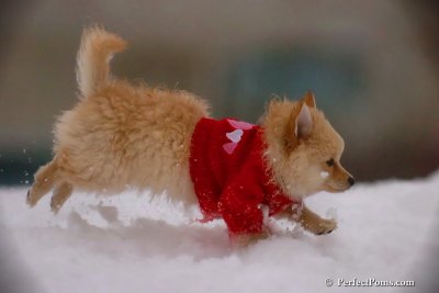 Dec2_07_728.jpg
