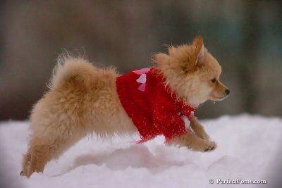 Dec2_07_730.jpg