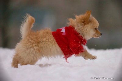 Dec2_07_731.jpg