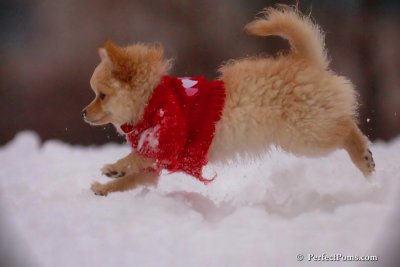 Dec2_07_732.jpg