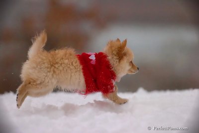 Dec2_07_734.jpg