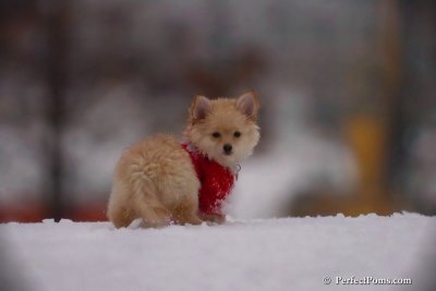 Dec2_07_737.jpg