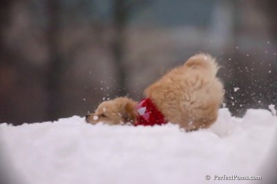 Dec2_07_740.jpg