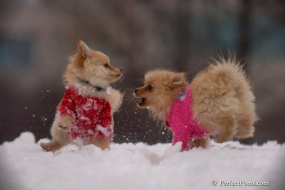Dec2_07_743.jpg