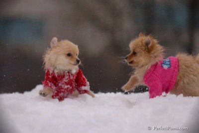 Dec2_07_744.jpg