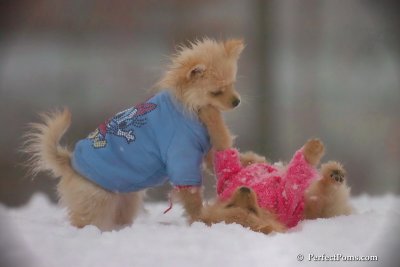 Dec2_07_615.jpg