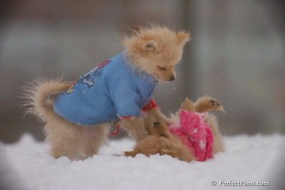 Dec2_07_617.jpg