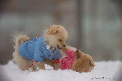 Dec2_07_619.jpg