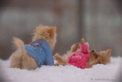 Dec2_07_621.jpg