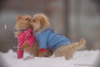 Dec2_07_622.jpg