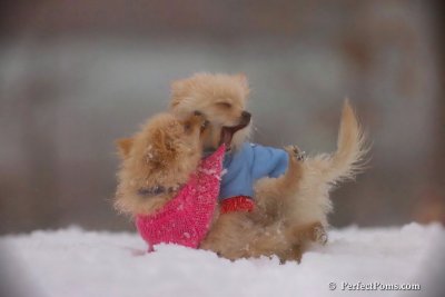 Dec2_07_625.jpg