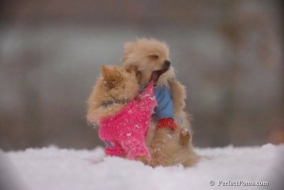 Dec2_07_628.jpg