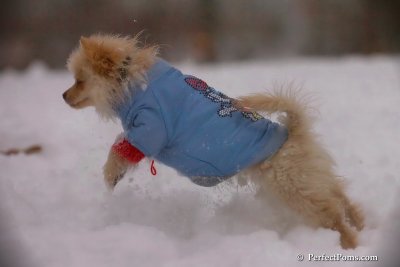Dec2_07_632.jpg