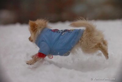 Dec2_07_633.jpg