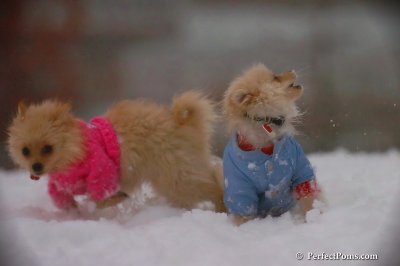 Dec2_07_638.jpg