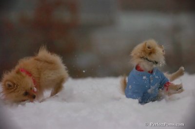 Dec2_07_639.JPG