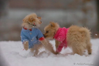 Dec2_07_640.jpg