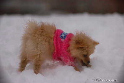 Dec2_07_643.jpg