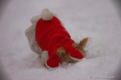 Dec2_07_644.jpg