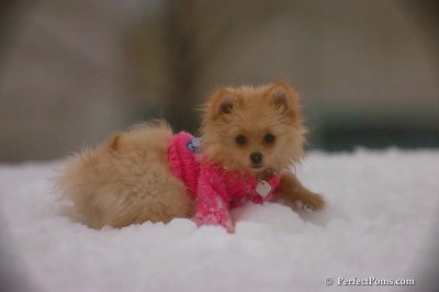 Dec2_07_647.jpg