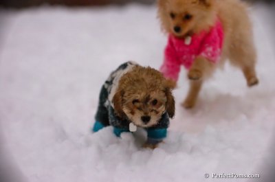 Dec2_07_648.JPG