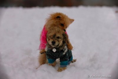 Dec2_07_654.jpg