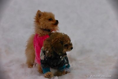 Dec2_07_655.jpg