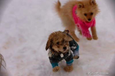 Dec2_07_658.JPG