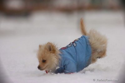 Dec2_07_469.jpg