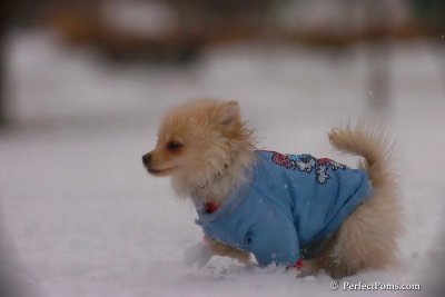 Dec2_07_470.jpg
