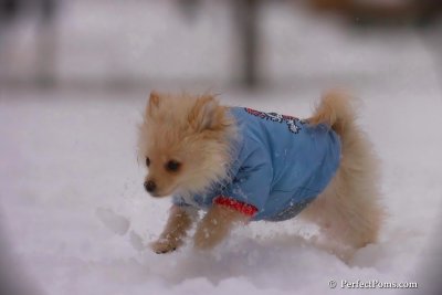 Dec2_07_471.jpg