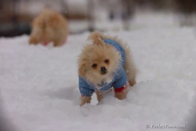 Dec2_07_474.jpg