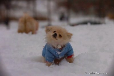 Dec2_07_477.jpg