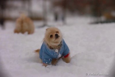 Dec2_07_479.jpg