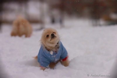 Dec2_07_480.jpg