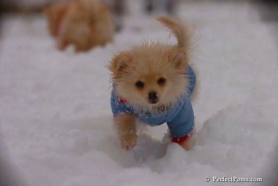 Dec2_07_483.jpg