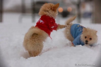 Dec2_07_487.jpg