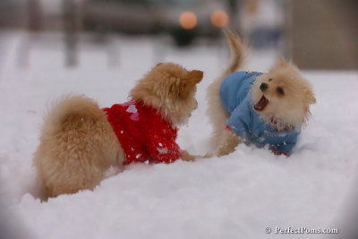 Dec2_07_488.jpg